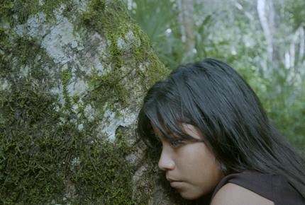 pelicula_9f652b0ff8a15d76e8f952a001405f5be1802de8.png