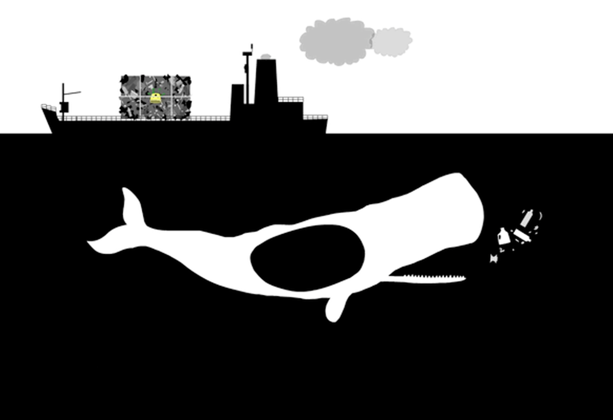 Choking_Hazard_whale.png