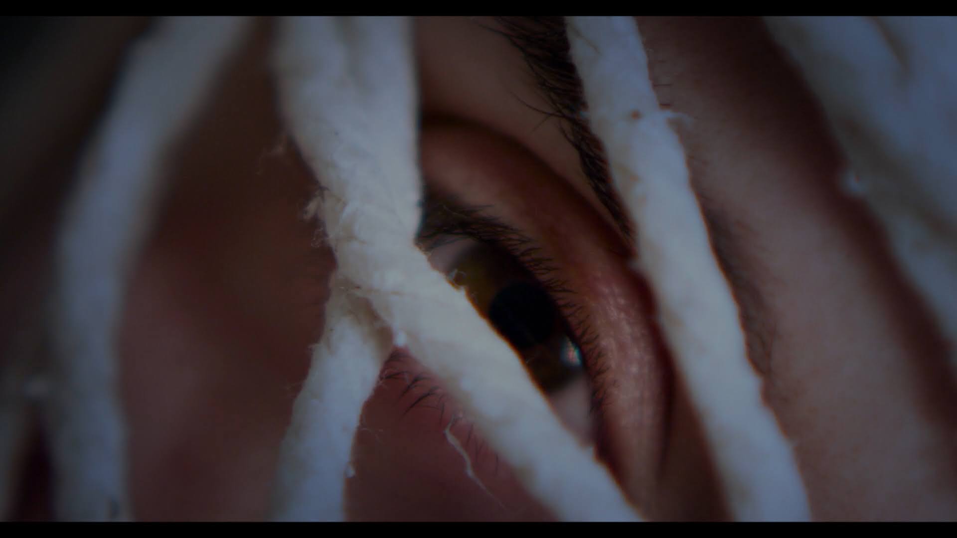 Copia de Lecciones Still4.jpg