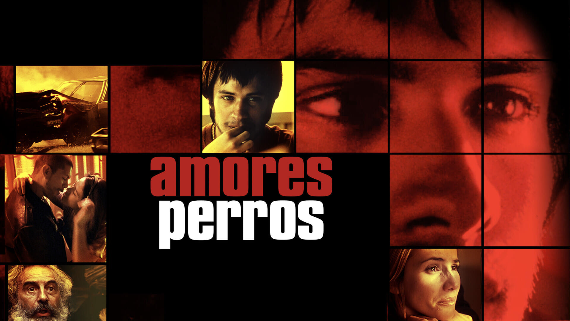 AMORES PERROS 4.jpg