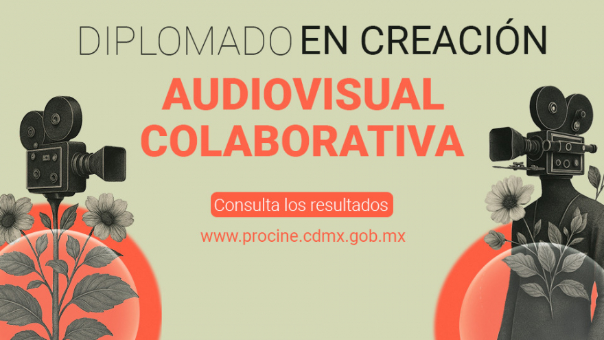 Resultados del Diplomado en Creación Audiovisual Colaborativa 2025
