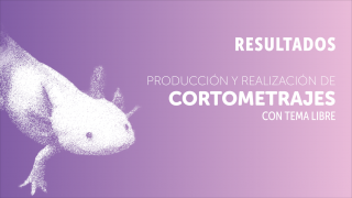 Resultados seleccionados APOYO PARA LA PRODUCCIÓN Y REALIZACIÓN DE CORTOMETRAJES, CON TEMA LIBRE 2025