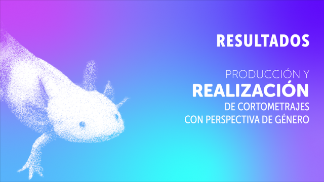 CNV_9_Resultados individuales_Perspectiva de género.png